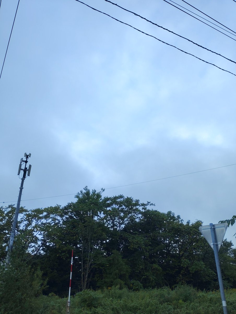 我が町は小雨。さぁて仕事行っか