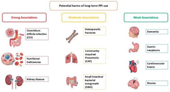 Paul_Wischmeyer's tweet image. PPIs are one of most commonly (and often inappropriately) prescribed drug classes out there. This is a “Must Read” state-of-the-art review paper on PPIs, covering indications, harms &amp;amp; a guide for deprescribing 🆕 💊⚠️

🔗 mdpi.com/1648-9144/61/9…
H/T @drkeithsiau