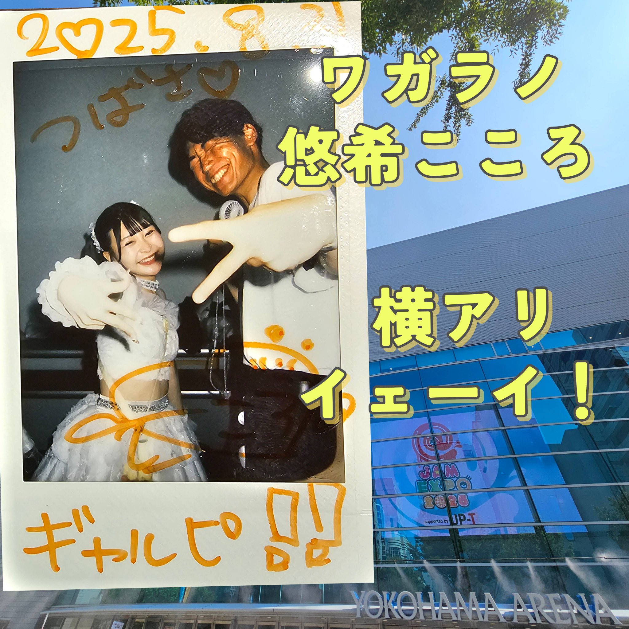 ⭐️白猫⭐️ジャンプ展　50週年　ファン感謝デー NEKOMA ⭐️白猫⭐️ジャンプ展 50週年 ファン感謝デー NEKOMA ⭐️白猫