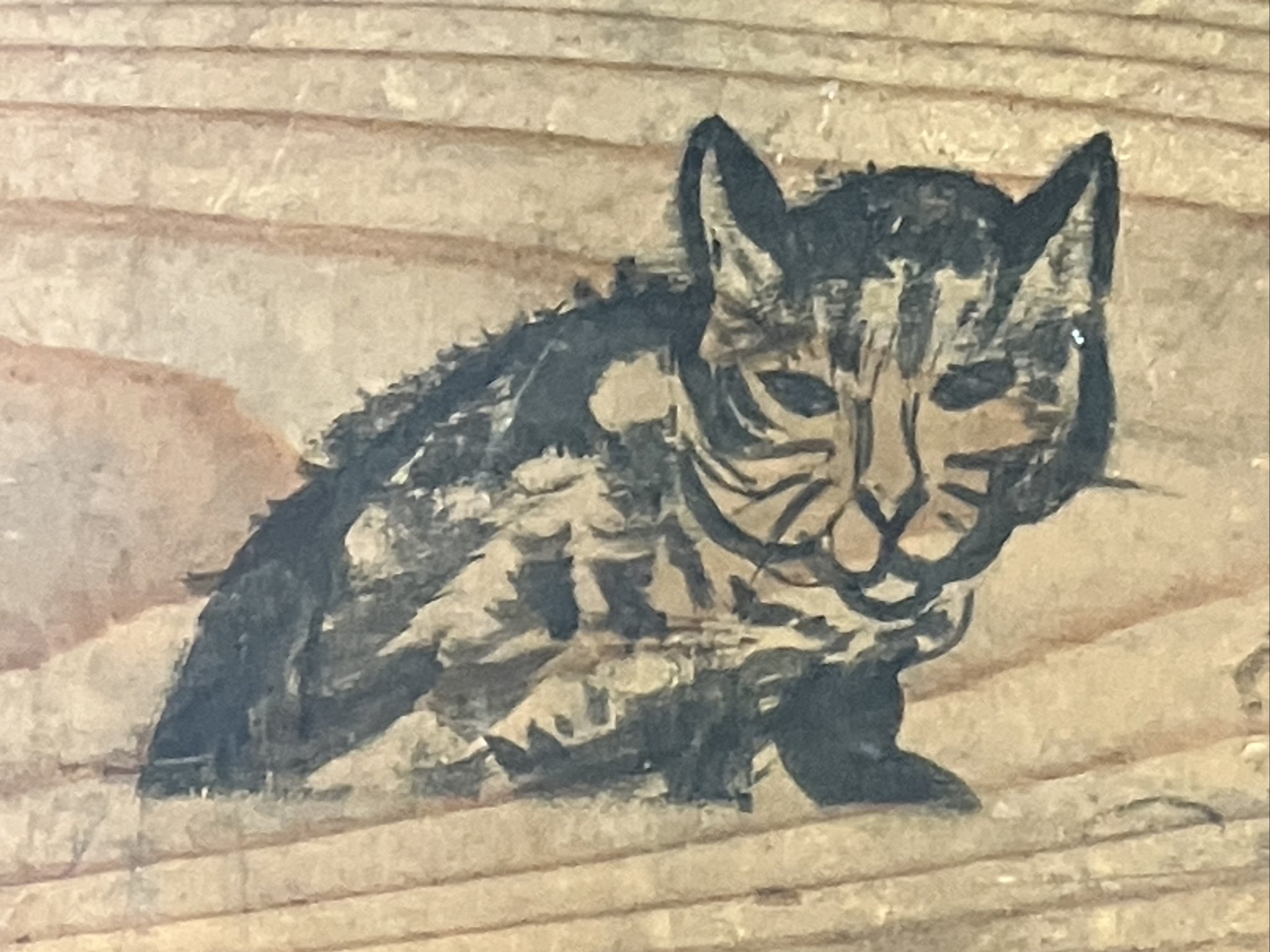 ねこ太朗 on X: 