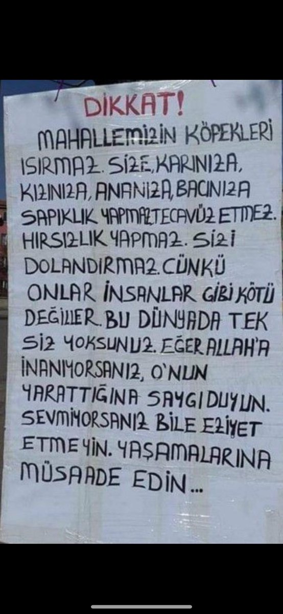 Kedi köpek kuş karınca ağaç ne fark eder hepsinin canı var hayvana eziyet eden her şeyi yapar #SokakHayvanlarıSahipsizDeğil