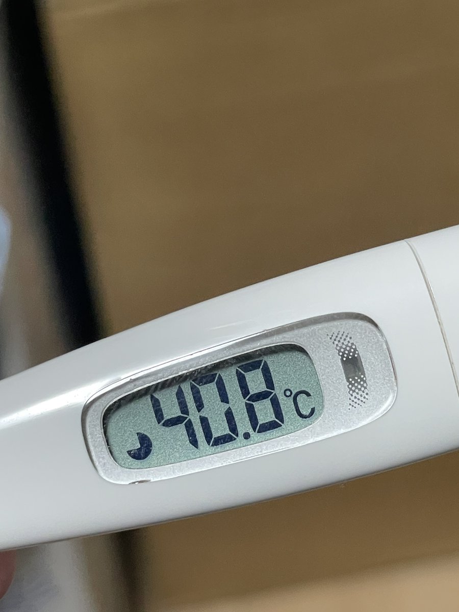 体調崩し過ぎてもうやだ