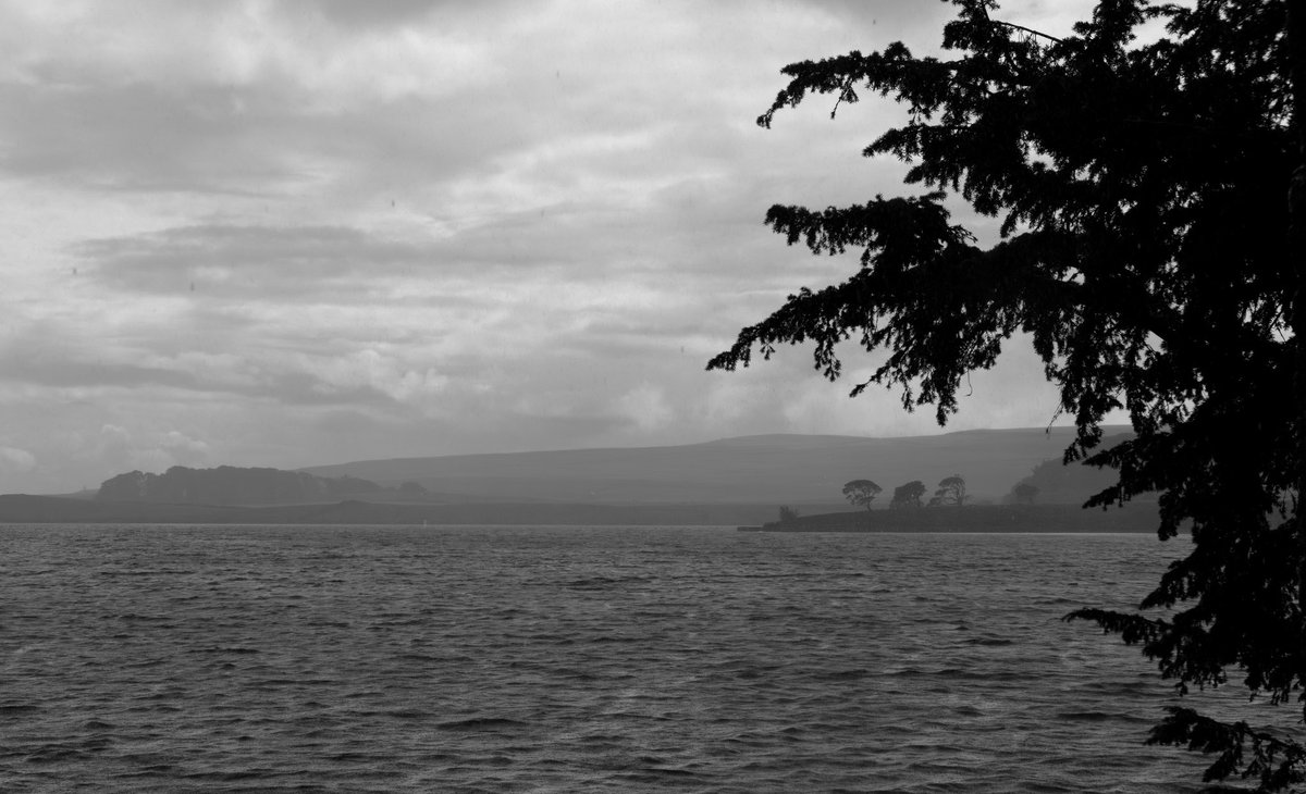 FreestoneFF's tweet image. A few arty shots from Saturday’s trip to Malham Tarn. After a 4am start in search of a sunrise/star-gazing combo, I timed it wrong by about 30 minutes! 🤦‍♂️ Still an amazing time of the day to be wandering about North Yorkshire though 😁