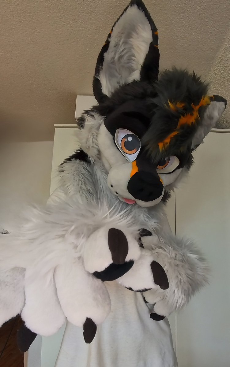 HOW TO FIND ME #Eurofurence :

✅ pics &amp; hugs
✅Invite me to parties👀