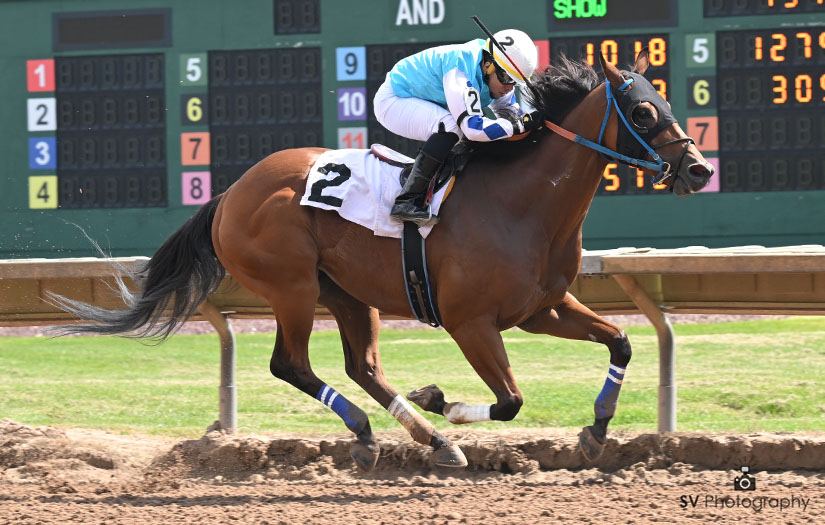 The old short field - long price angle was on display in race three as the longest shot on the board, 23-1 shot East Coast Girl, takes them flagfall to that's all under a hustling John Berrios riding for trainer Kaitlynn Gutterson.  The early Pick 5 returns $3,035.