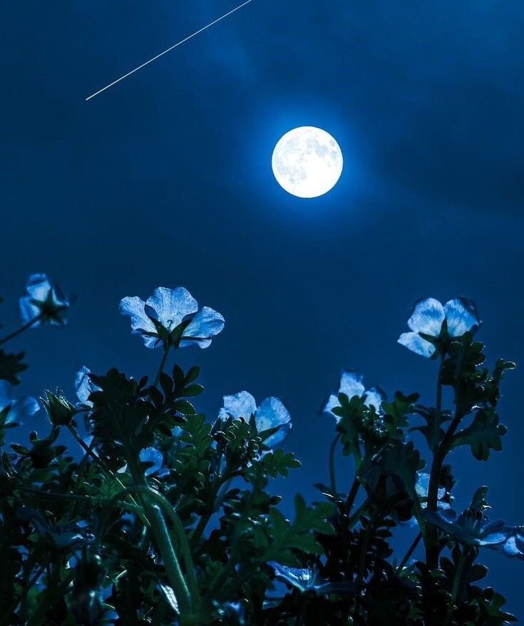 22:22 (@22hrr22min) on Twitter photo 