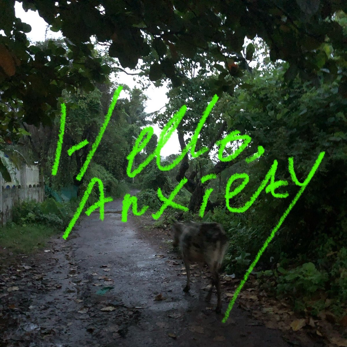 New songs released today！🐮❤️‍🔥

Hello, Anxiety / V.A.

🎧 p-vine.lnk.to/ucYiBj

【参加アーティスト】
postmodernhippie
Wa!ter
屋根裏にズッキーニ
もずく酢
wani
帰国子女
sz2u
小雨ちゃん
湯煎白雪
タチマナユ
微円
市野美空
 
Produced by Cloudy