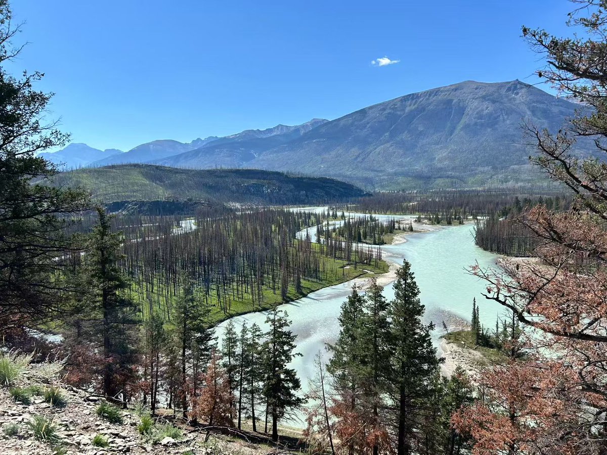 WanEric569917's tweet image. River bends, mountain walls, sky wide open. Hard to ask for a better forecast.

#CanadaHiking #TrailNotes #OutdoorTips #MountainViews #RiverValley #HikingCanada #NatureShots #GoodWeather