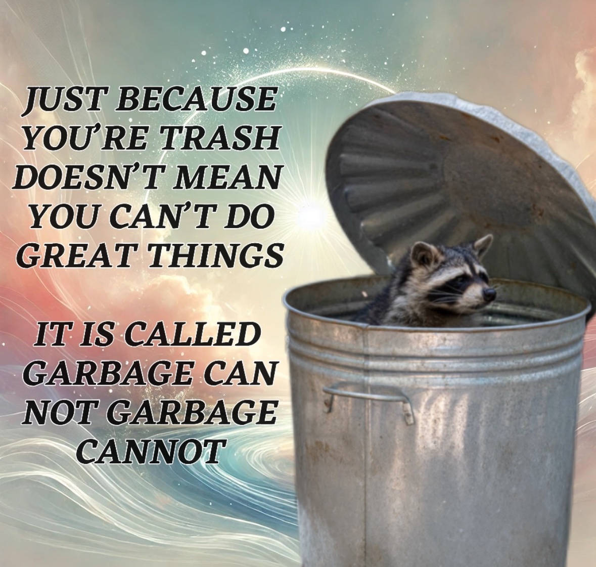 raccoon aesthetic. (@raccoonesthetic) on Twitter photo 