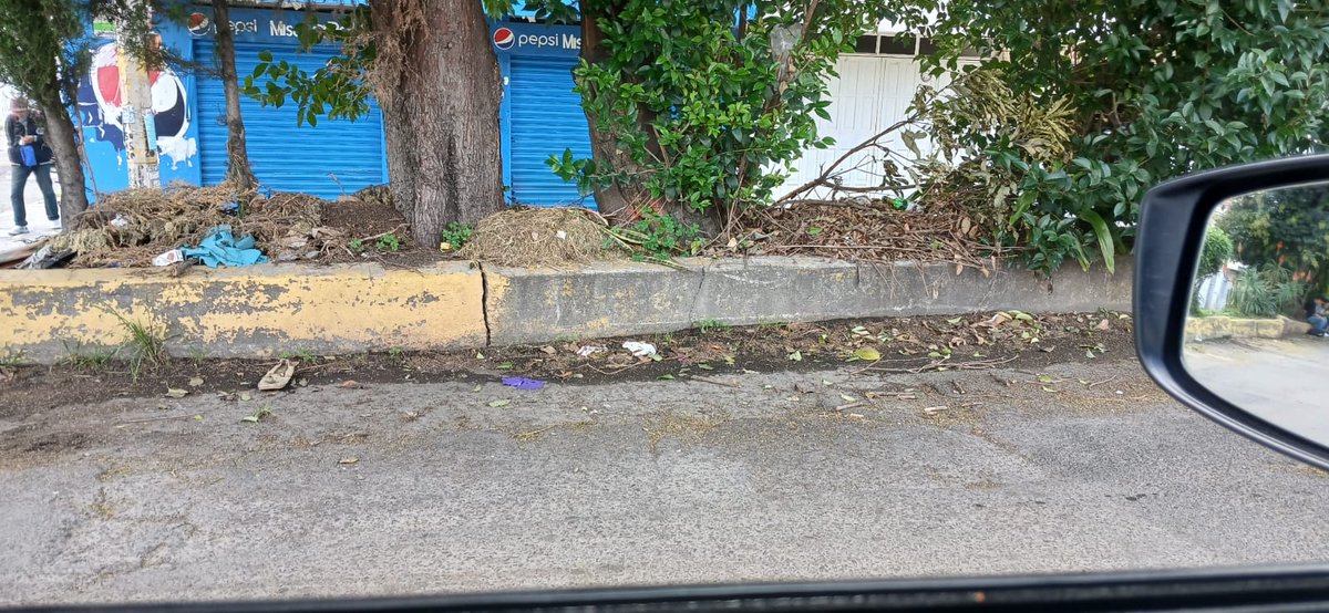 amtl0801's tweet photo. @PueblaAyto @pepechedrauimx En la colonia maravillas vinieron a podar áreas verdes en semanas pasadas y dejaron ramas y hojas a lo largo de Av Montes Urales y avenida cordillera central https://t.co/ObN6SYOSxo