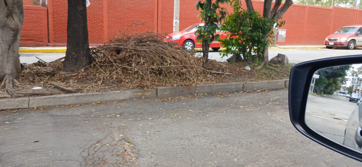 amtl0801's tweet photo. @PueblaAyto @pepechedrauimx En la colonia maravillas vinieron a podar áreas verdes en semanas pasadas y dejaron ramas y hojas a lo largo de Av Montes Urales y avenida cordillera central https://t.co/ObN6SYOSxo