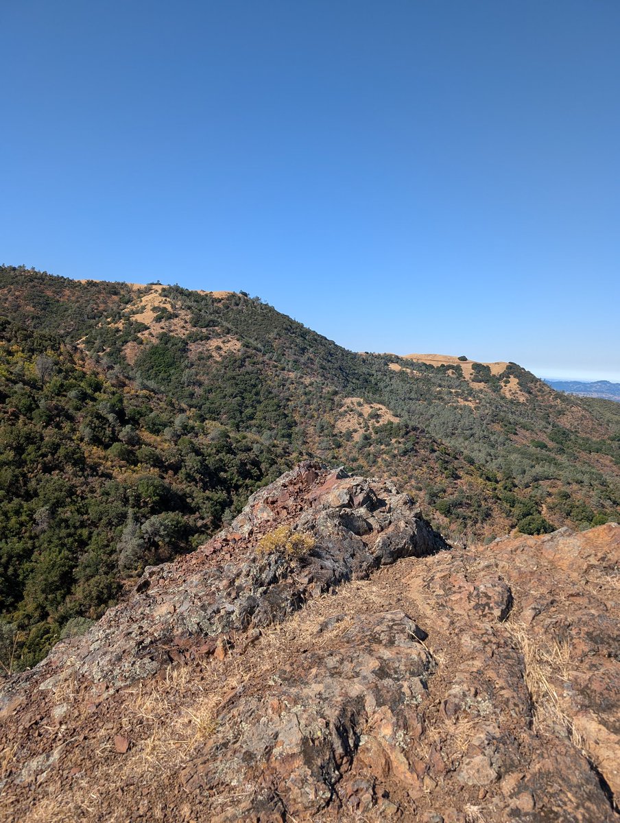 Aid reversed with blog shorn, Old Nick beyond the border (6)