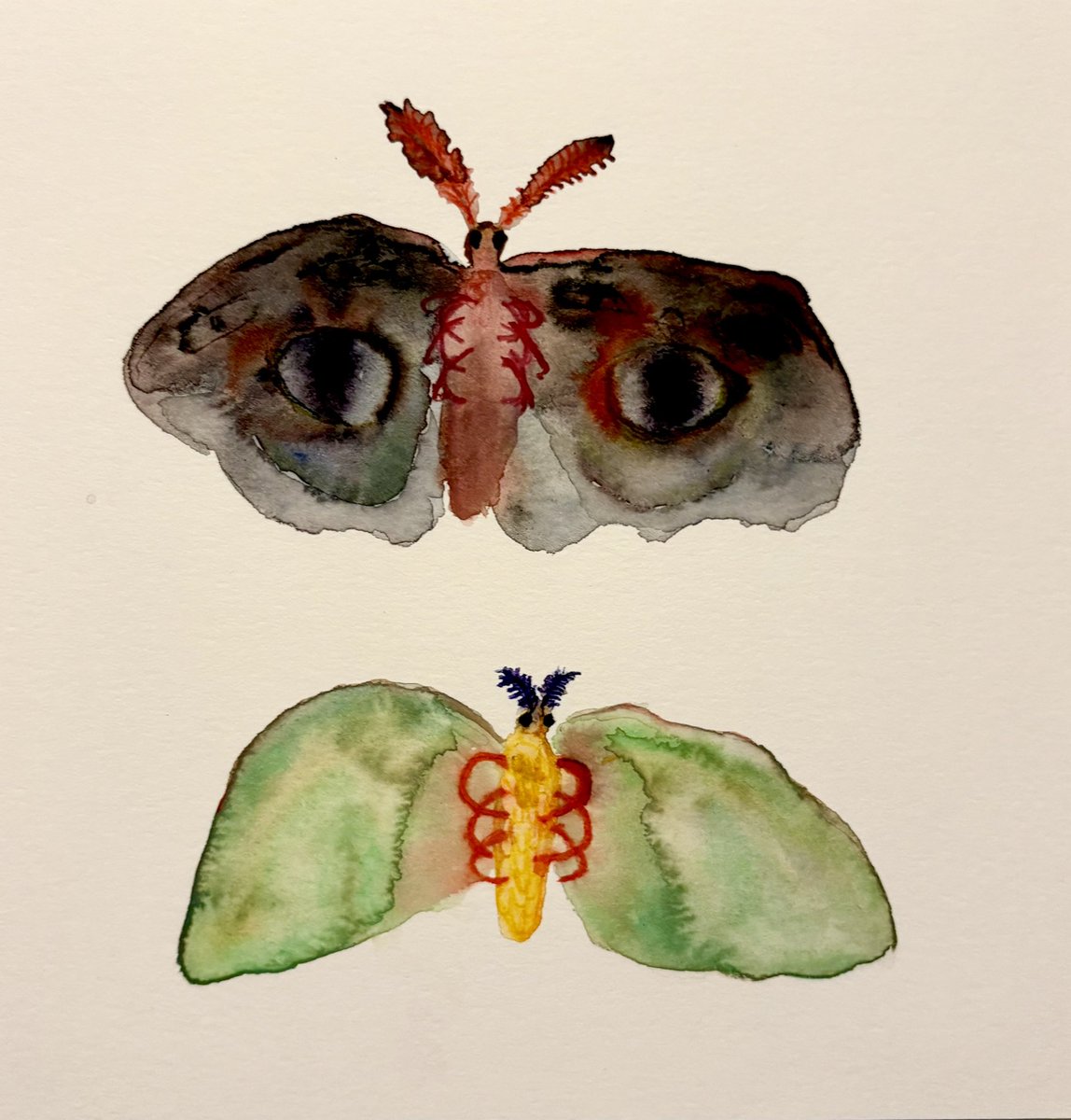 lmaizumi_so's tweet image. 