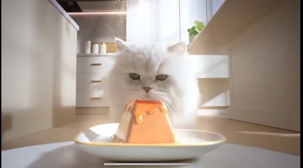 Damn Fancy Feast commercial has these cats eating like kings.  

I mean, it looks like the cat food version of a chocolate volcano dessert.