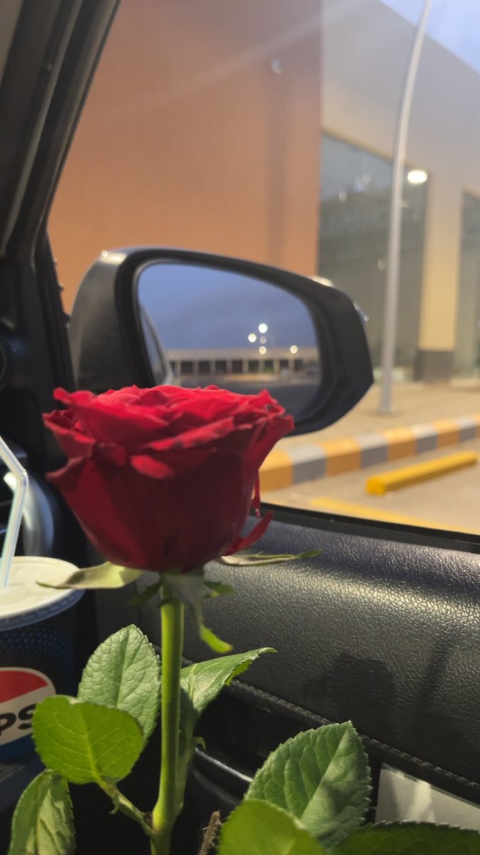 :

:

- يا دعوةً حَنونة
قال لها الرحمن : آمين
فجئتَ أنتَ عِوضاً عَنها ♾🤍