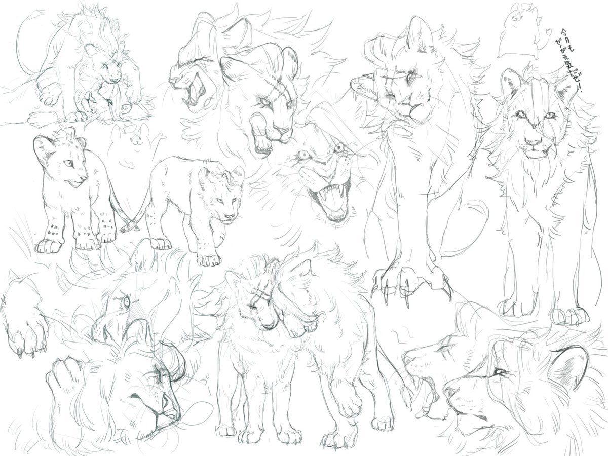 あたりめ (@SXmoko2929) / Posts / X