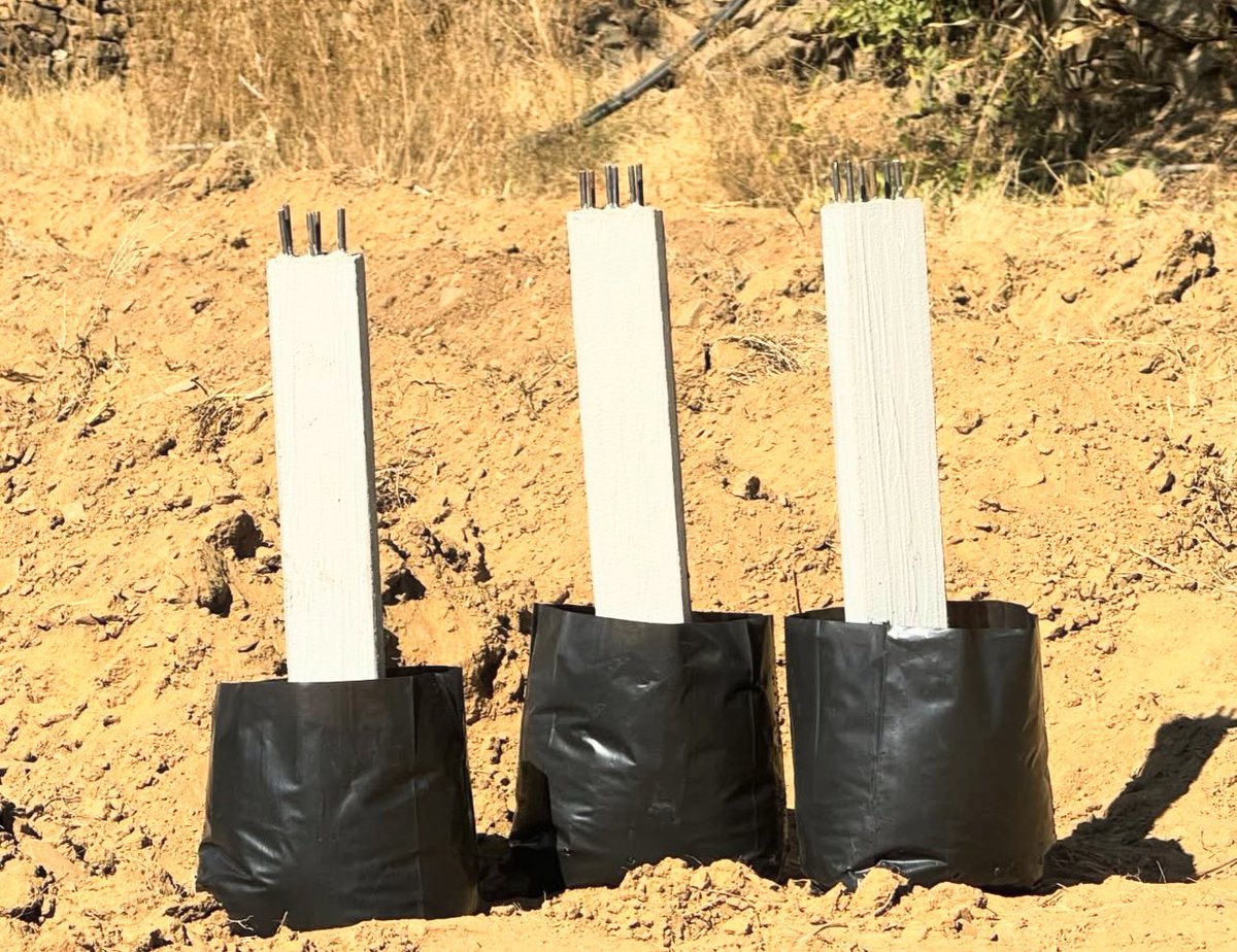 MUHAY studio | محي استوديو tweet media