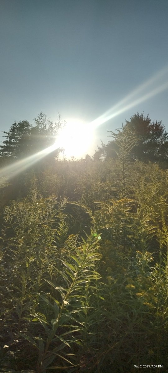 herman mechle (@hermanhmechle) on Twitter photo 