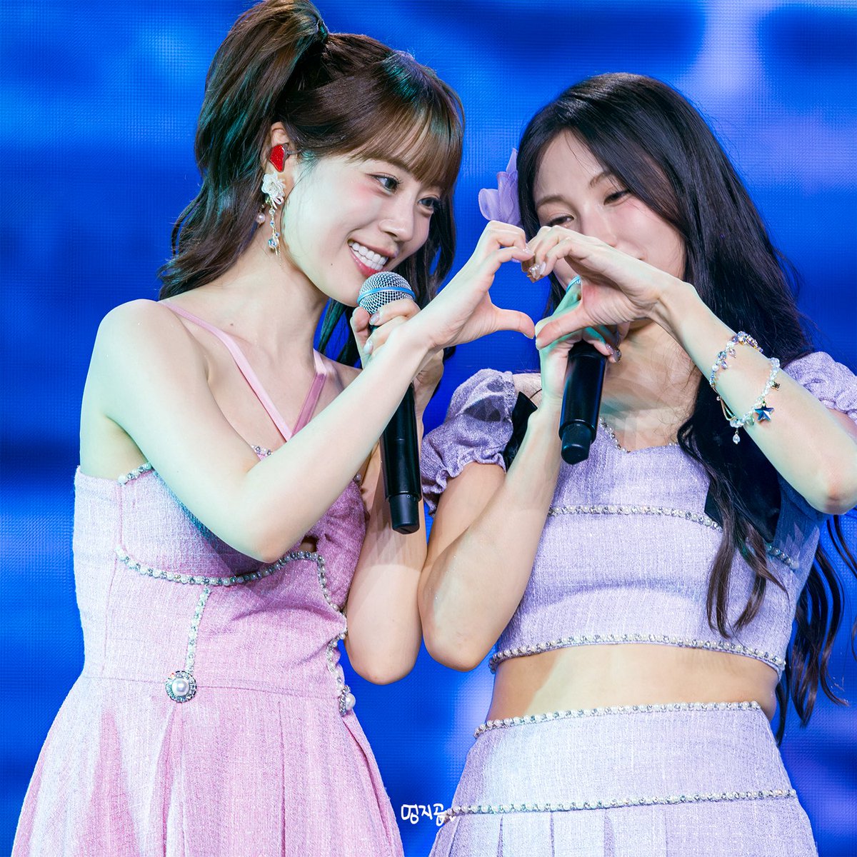 곰멍지 tweet media