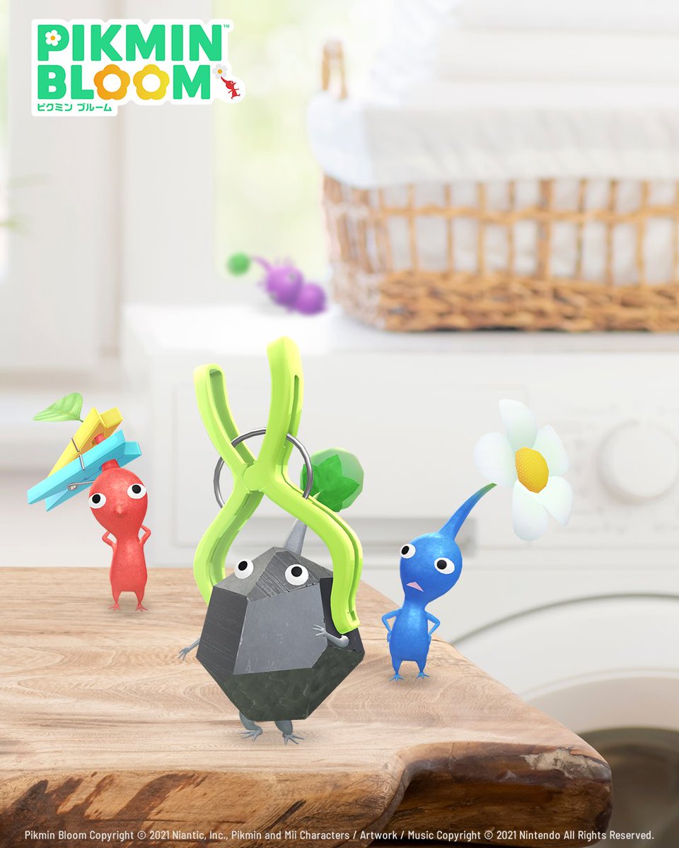 PikminBloom_jp's tweet image. 今日は1日いい天気かな…？☀🧺