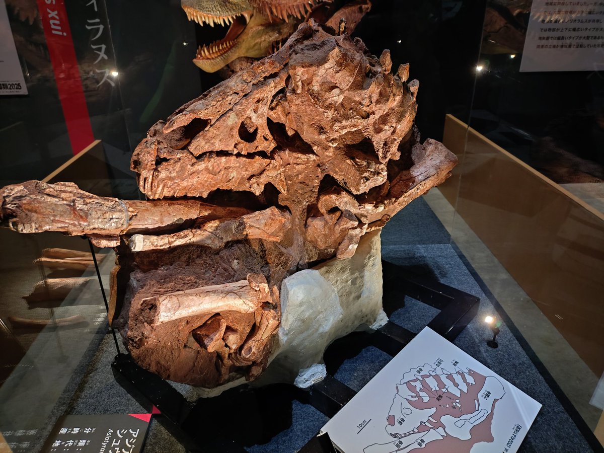 松蛇堂 (@Matsuhebi) / X