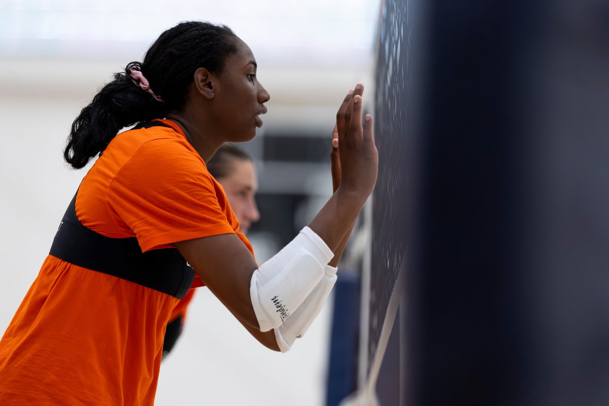 Virginia Volleyball tweet media