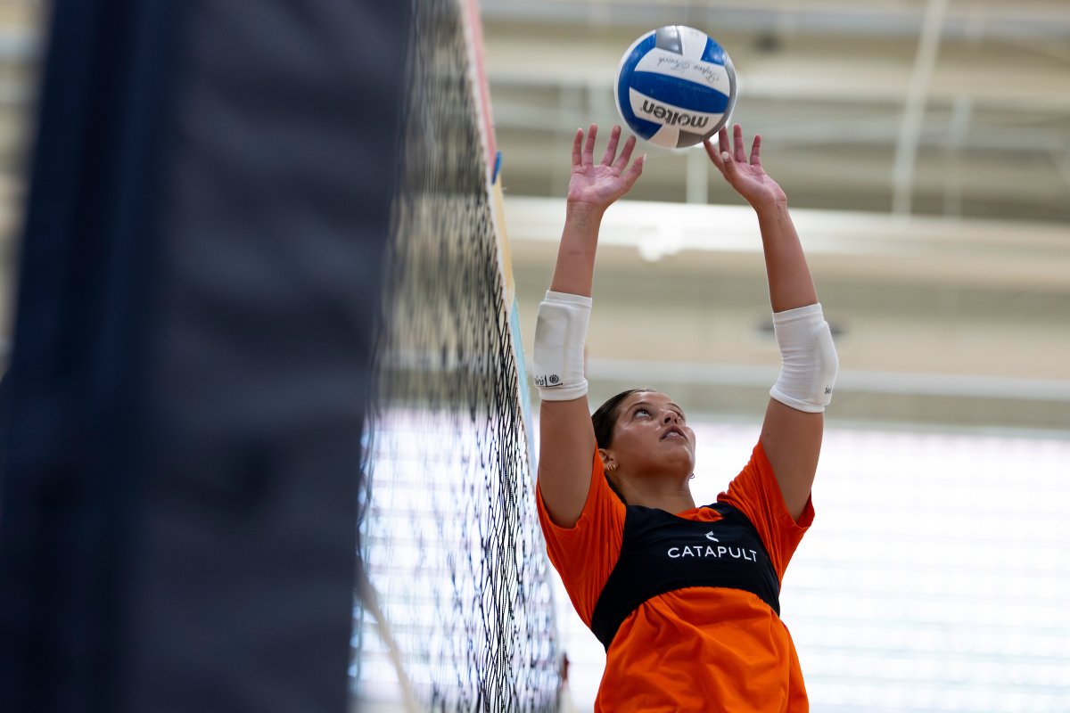 Virginia Volleyball tweet media