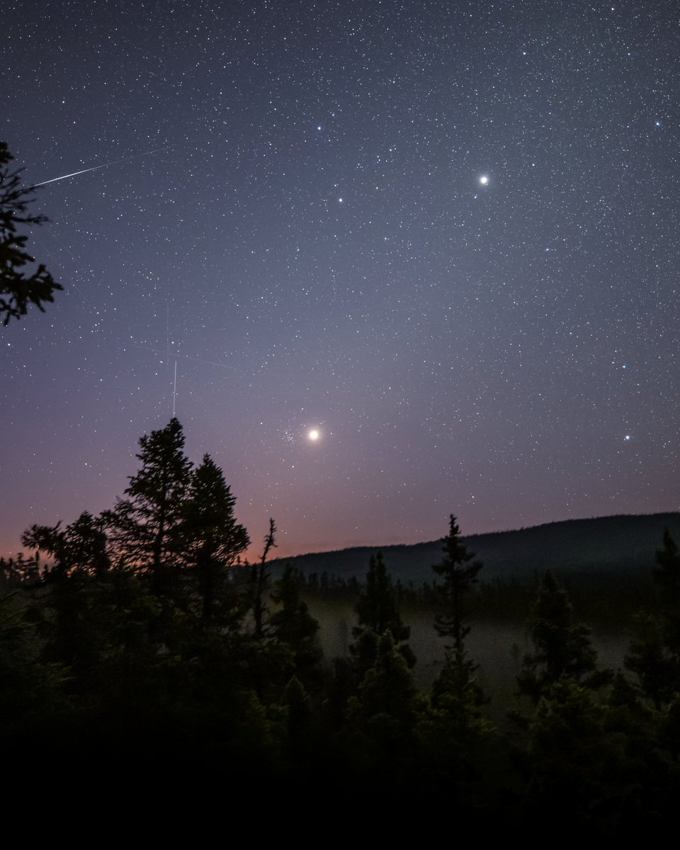 I woke up at 4 am to capture this pairing of Venus and the Beehive Star Cluster! (with Jupiter nearby!)

This was taken at Terra Nova National Park, a RASC-designated dark sky preserve in Newfoundland.