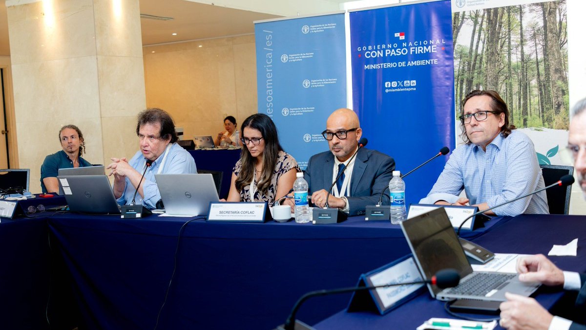 CONAF - Corporación Nacional Forestal (@conaf_minagri) on Twitter photo 📍#Panamá | Director ejecutivo de #CONAF Rodrigo Illesca, participa en la 34° Reunión de la Comisión Forestal para América Latina y el Caribe (COFLAC), foro que asesora a <a href="/FAO/">Food and Agriculture Organization</a> en temas relacionados con la gestión sostenible de los bosques, la biodiversidad y los desafíos del 📍#Panamá | Director ejecutivo de #CONAF Rodrigo Illesca, participa en la 34° Reunión de la Comisión Forestal para América Latina y el Caribe (COFLAC), foro que asesora a <a href="/FAO/">Food and Agriculture Organization</a> en temas relacionados con la gestión sostenible de los bosques, la biodiversidad y los desafíos del