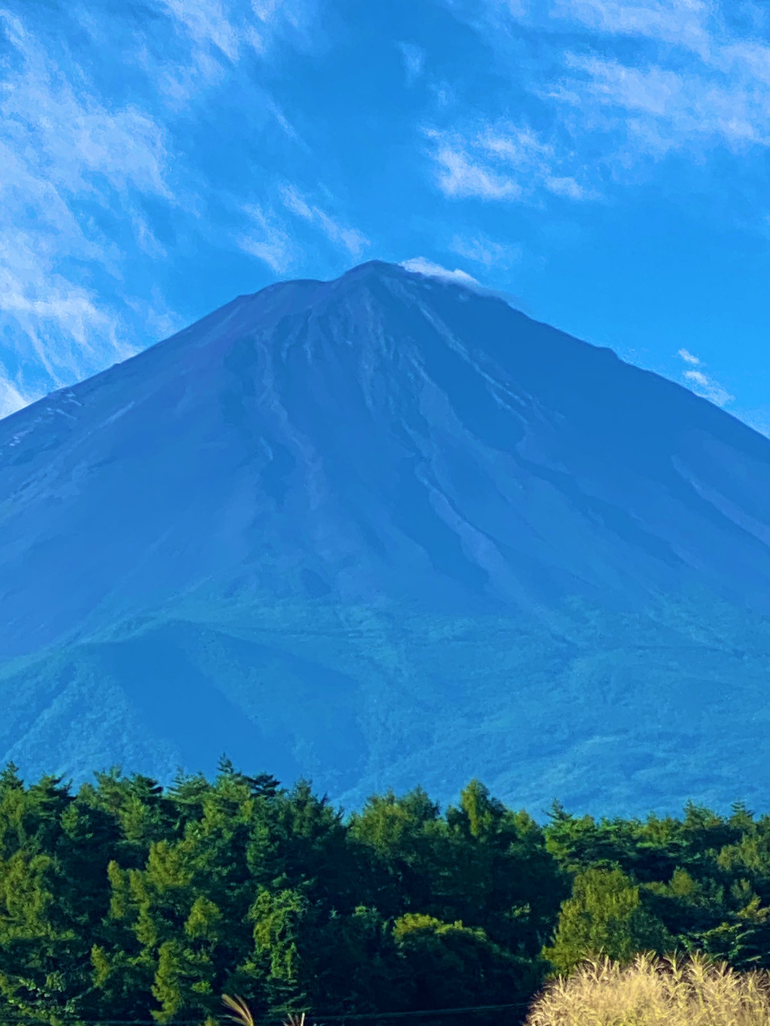 高見朝蒼 大富士 絵画の買取はお任せ下さい。事前見積り可能｜アメ商百貨店