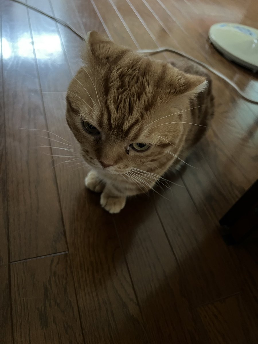 おはようございます
🦑