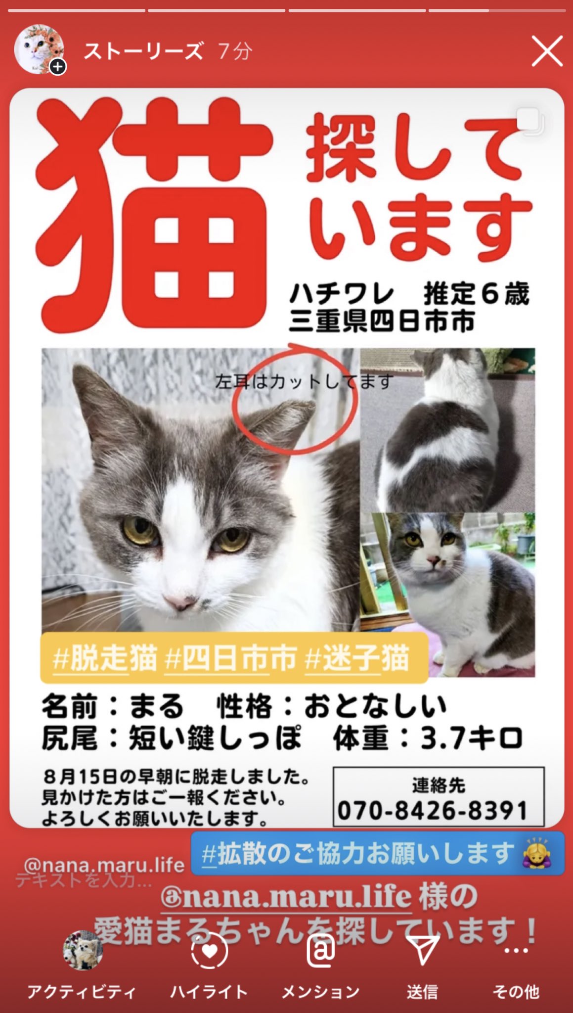 🚨PINO🐈‍⬛FAMI on X: 