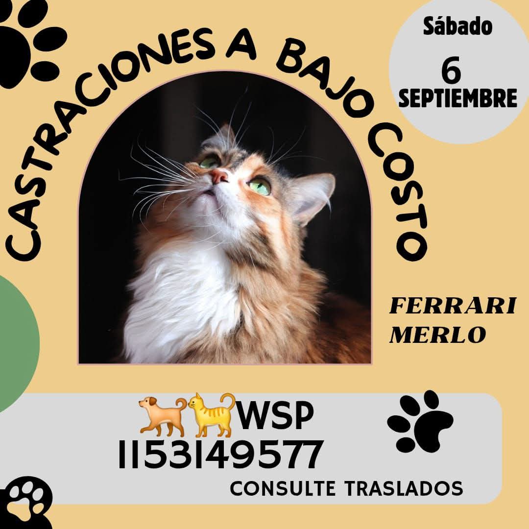 SITUACIONES QUE EVITAMOS CASTRANDO:
👉Encierro (perreras)
👉Maltrato animal
👉Envenenamiento
👉Abandono
👉Vagabundeo
👉Más refugios
👉Contaminación
👉Peleas callejeras
👉Jaurías asilvestradas
👉Accidentes en la vía pública
👉Más enfermedades zoonóticas
#Ley13879 #BsAs
