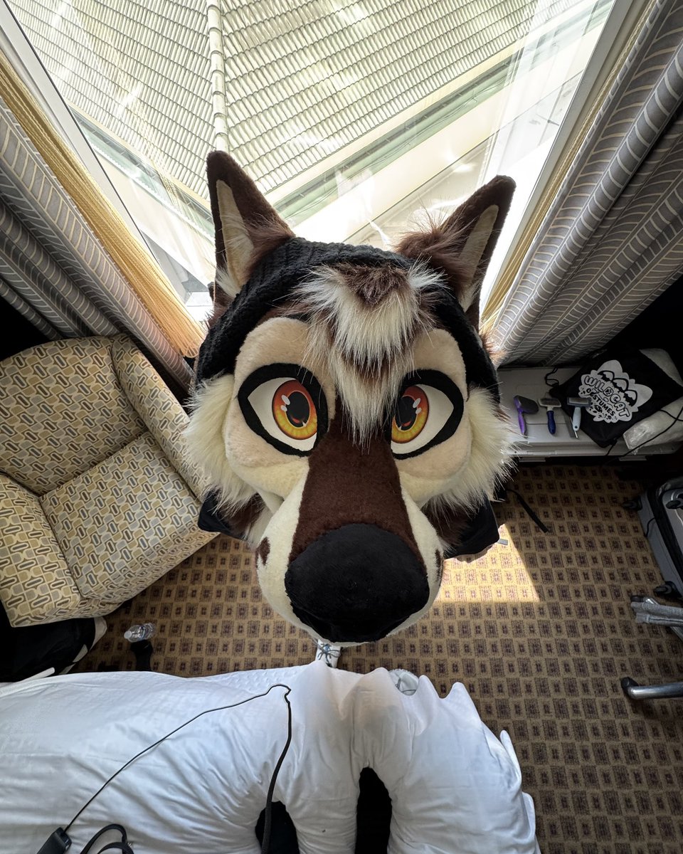 Decided to take a step back from all the partying this con and I’m happy that I did, I had a lot of fun running around just being fop. So happy I could spend every moment with Tazz, loved every second of it and couldn’t ask for a better boyfriend.

Thanks for the memories MP 🩵