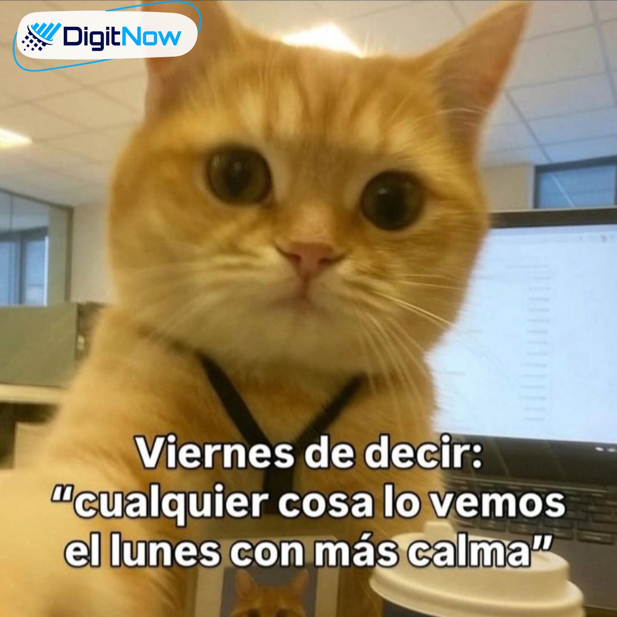 DigitNowMexico's tweet image. Después de tanto trabajo… ¡por fin es viernes! 🎉
Hora de descansar, recargar batería y prepararse para otra semana de retos. ⚡💻
#DigitNow #ViernesFeliz #ModoRelax #FinDeSemana