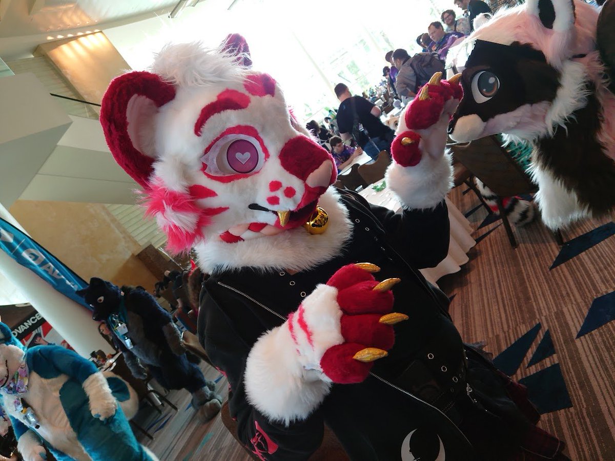 iWoof 🔜 MFF tweet media