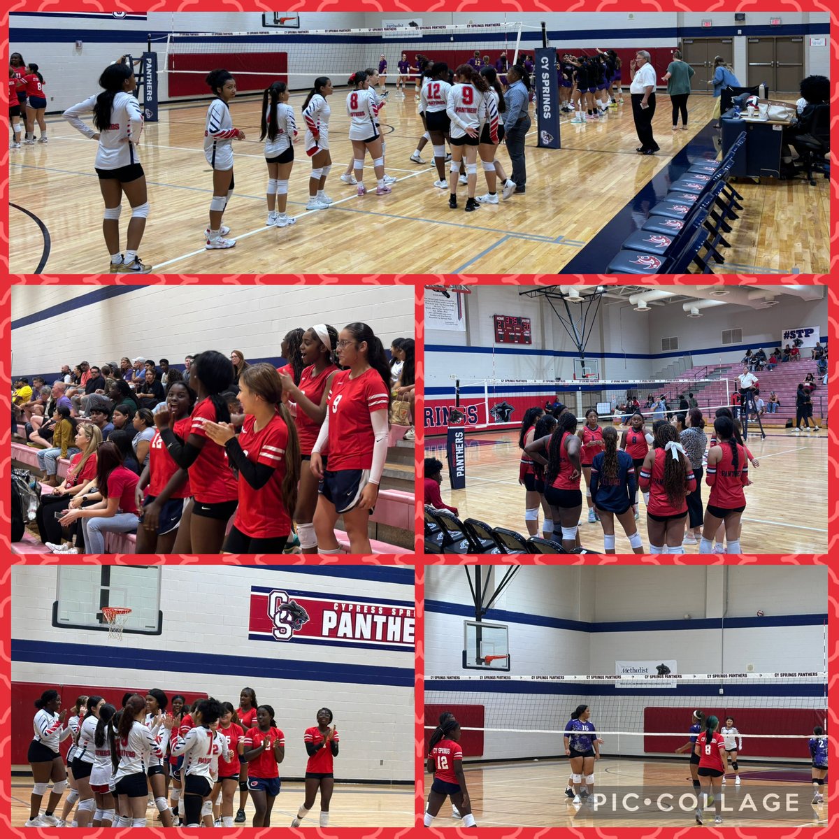 Brenda Brewster tweet media