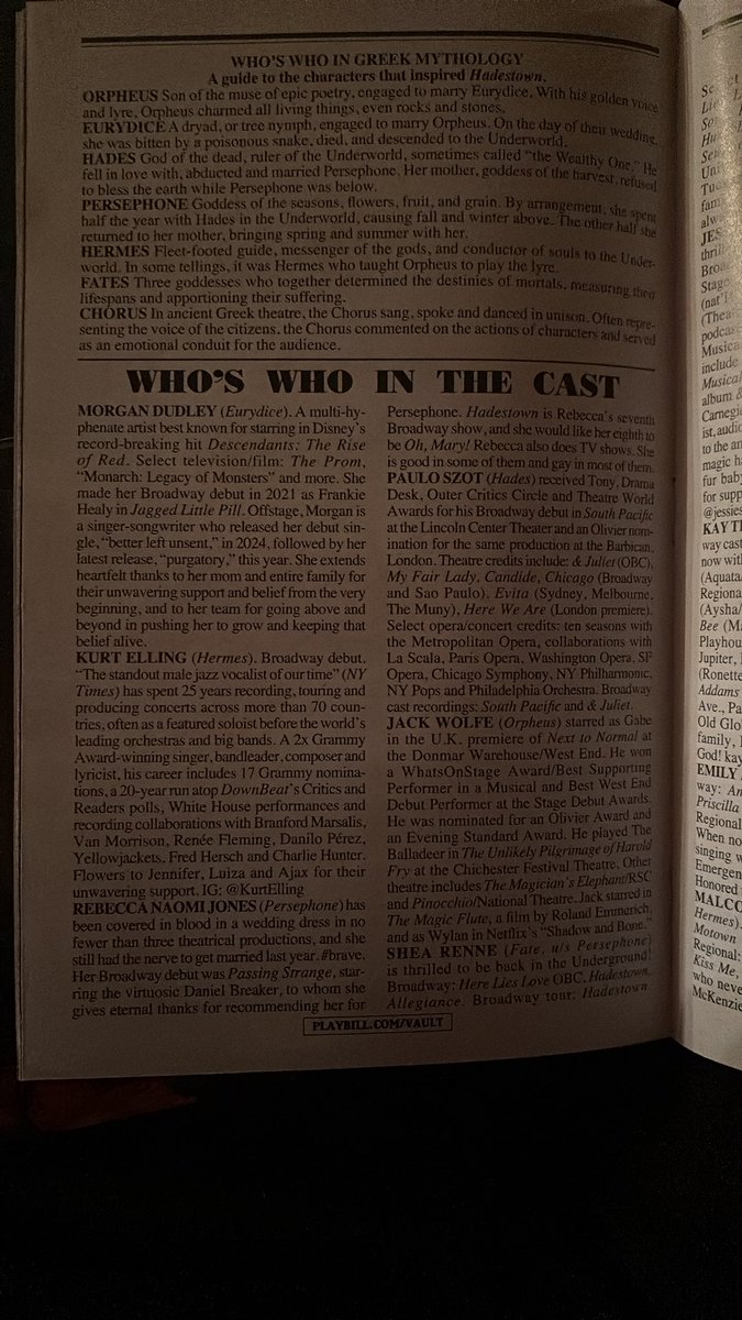 Rebecca Naomi Jones’s <a href="/hadestown/">Hadestown</a> Playbill bio is absolutely INCREDIBLE.