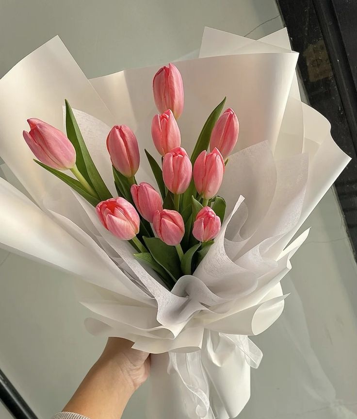 Ⓕⓛⓞⓦⓔⓡⓢ (@tuliipslove) on Twitter photo 