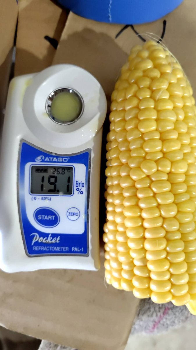 とうもろこしのお店 小林農園 on X