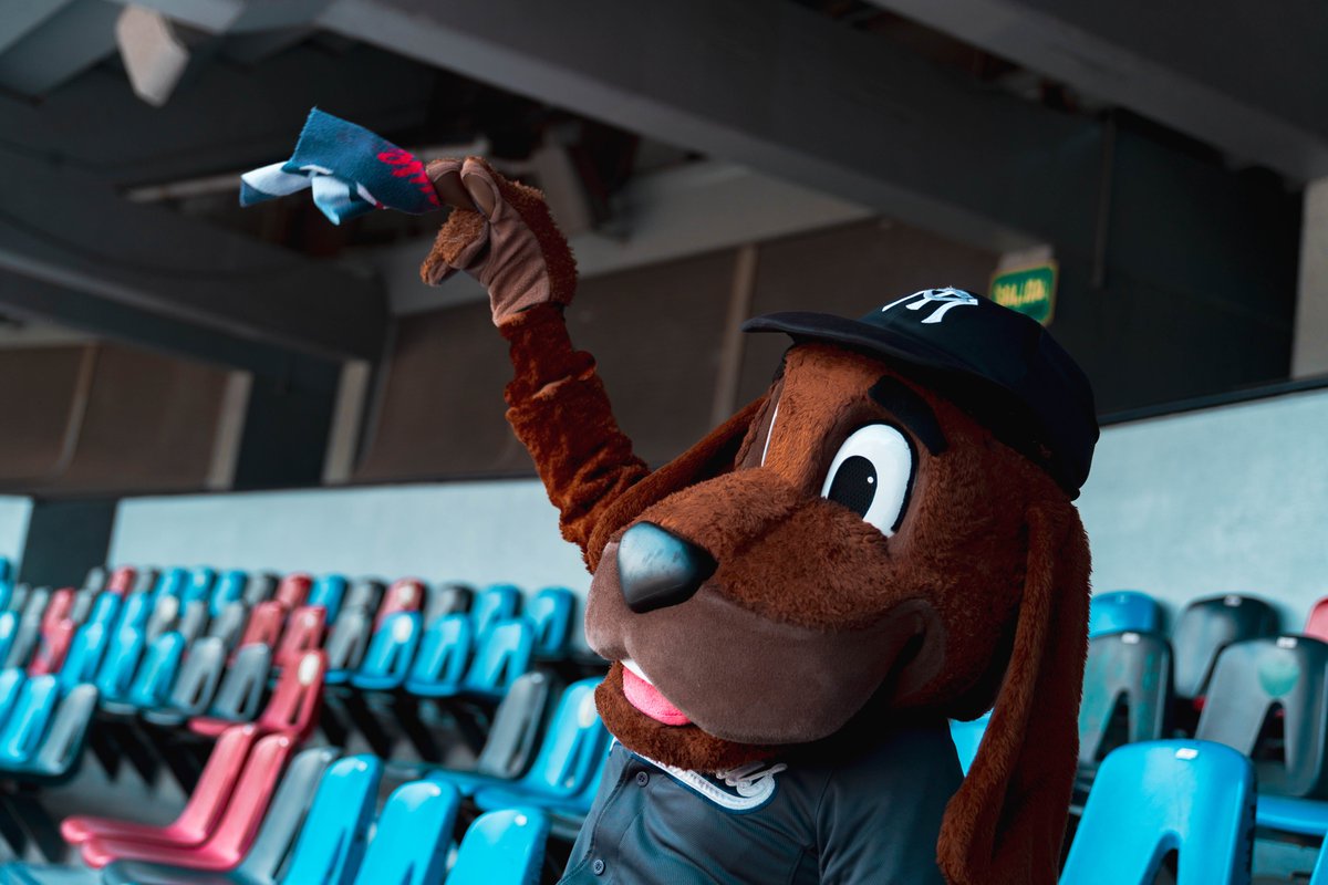 Sultanes vs. Charros EN VIVO Juego 3 HOY Final del Norte Playoffs LMB 2025