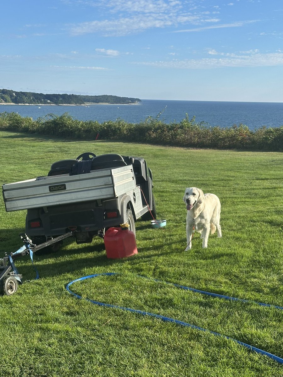 Colonial Turf tweet media