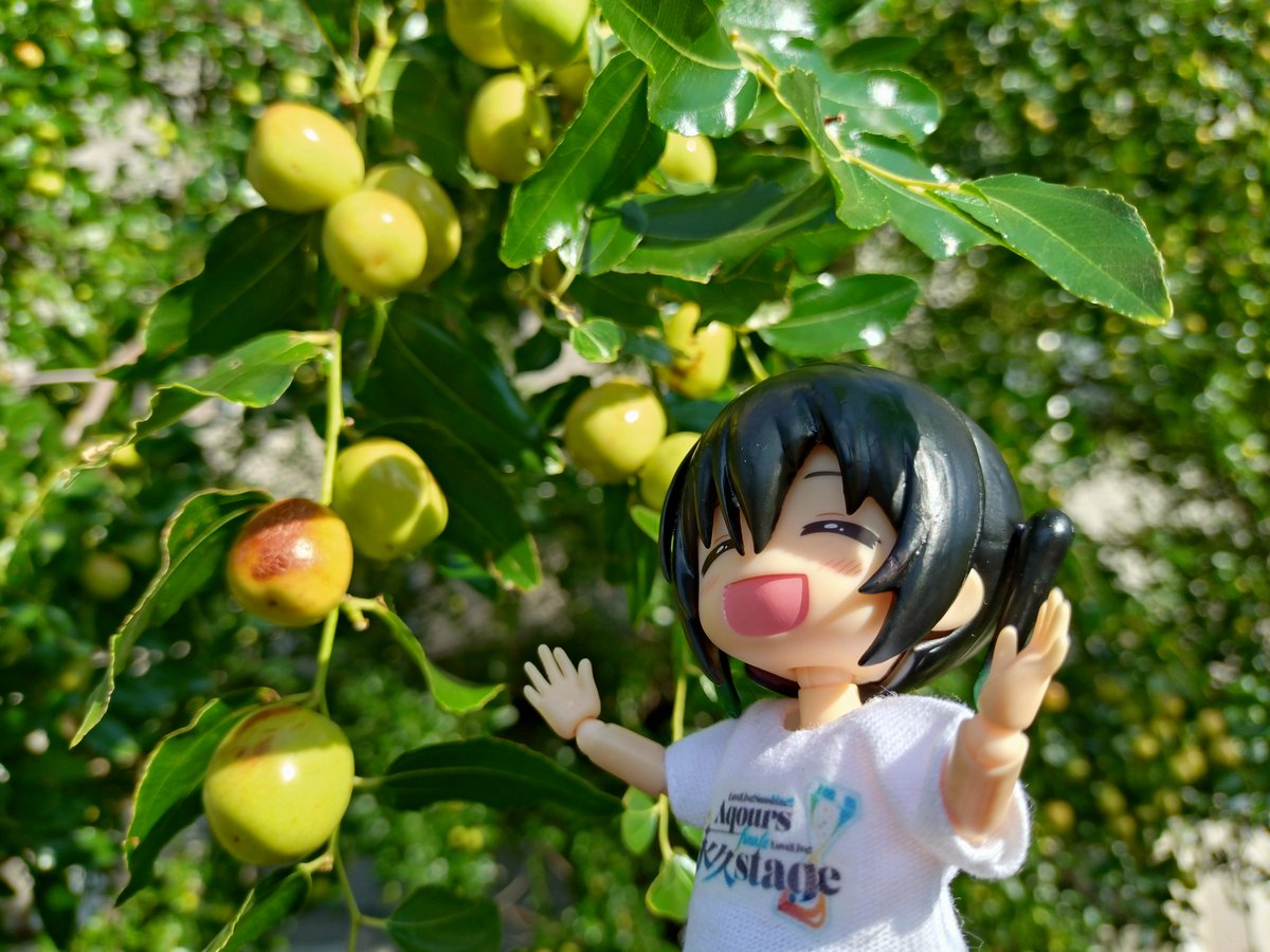 水曜日のたわわ(な実りの棗)🌈

 #小さなラブライブ
 #高咲侑