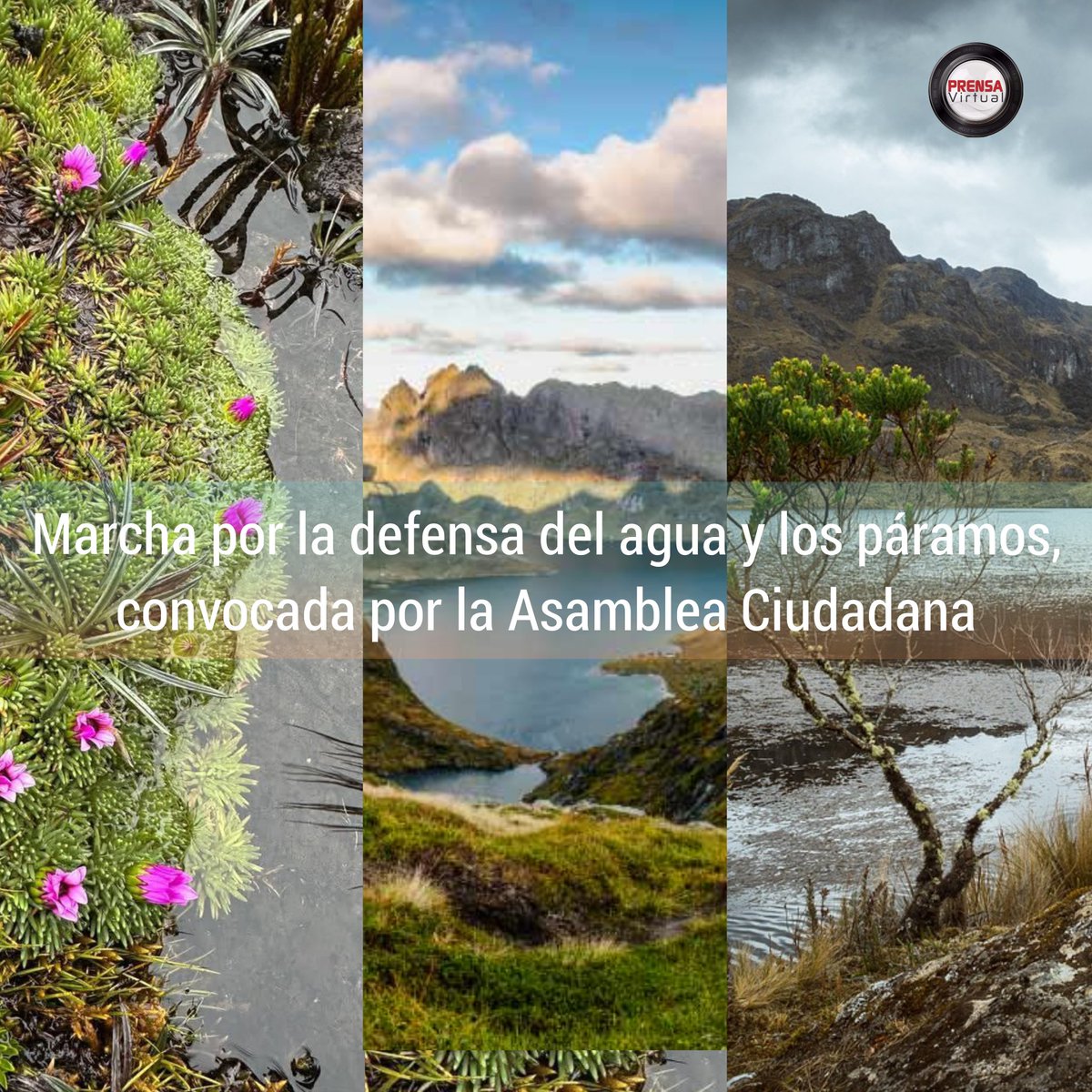 #Cuenca|| "Como un río de montaña, #Cuenca marcha jubilosamente”

📍 Plaza San Roque
🗓️ 16 de septiembre
🕘 Desde las 09h00