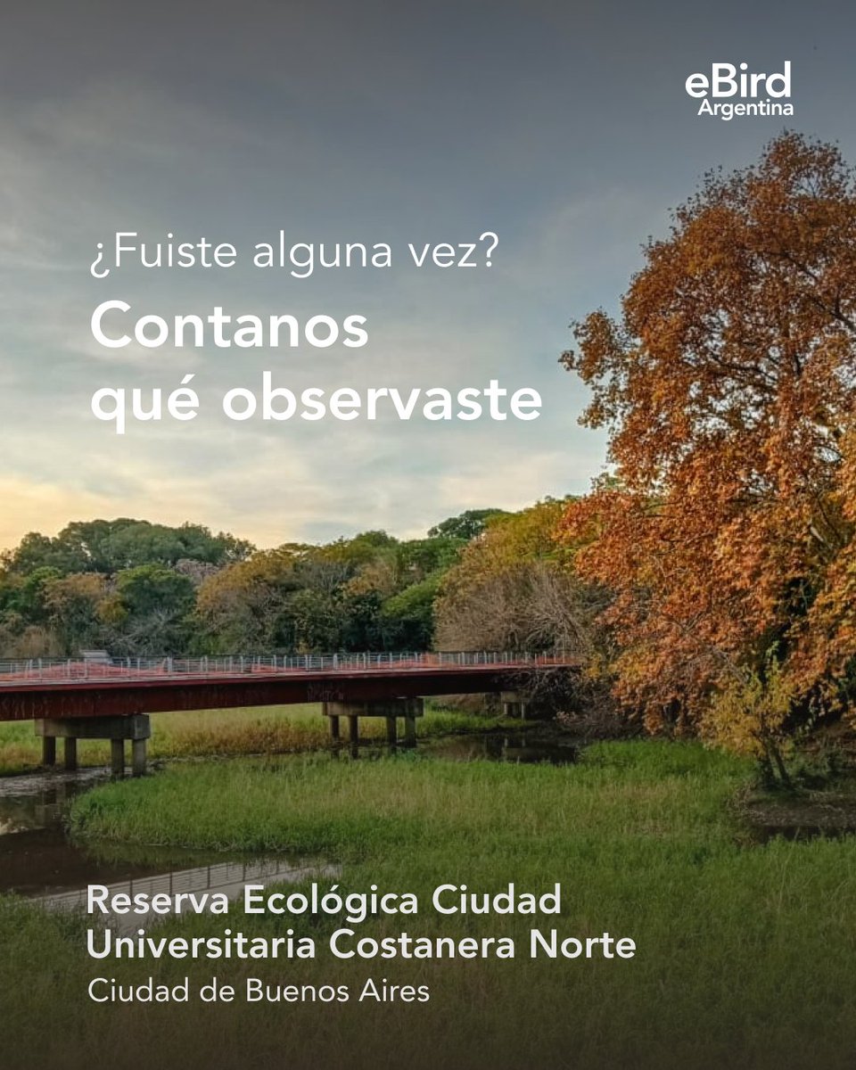 eBird Argentina tweet media