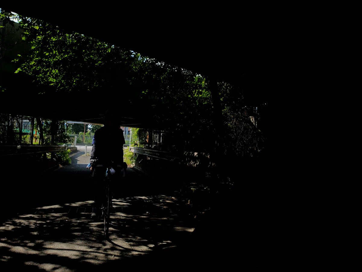 cyclecirclet_zw's tweet image. 夏の朝活ライドをしました!!!(2/3) #ロードバイク #trackbike #ピスト #roadbike #pist #ポタリング #ゆるポタ #tokyoride #bikeporno #都内ポタリング #都内ポタ #東京ライド #東京ポタリング #サイクリング #グループライド #groupride #かき氷 #氷屋ツルミ製氷