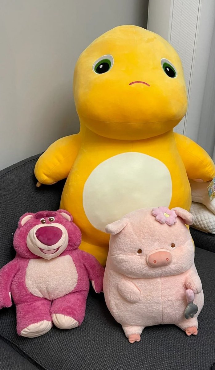 jayceee04's tweet image. "Soft, fluffy, and full of love 💕 Who else needs one of these today?"