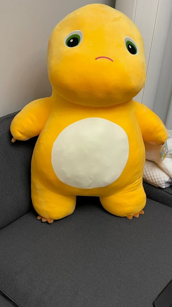 jayceee04's tweet image. "Soft, fluffy, and full of love 💕 Who else needs one of these today?"