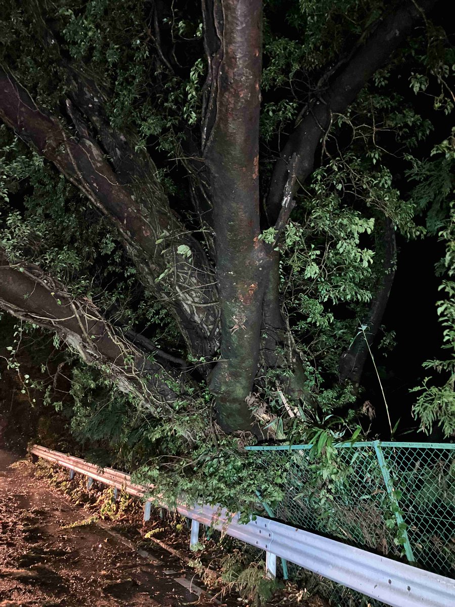 #豪雨
作業開始
沼田停車場線 沼田市 榛名坂 倒木あり 通行止め #群馬県建設業協会 #建設業協会 #建設業 #群馬県
2025/09/02 21:22 1