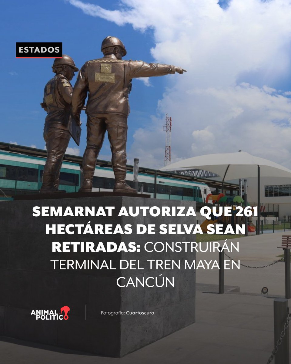 Animal Político (@pajaropolitico) on Twitter photo La <a href="/SEMARNAT_mx/">SEMARNAT México</a> autorizó que 261 hectáreas de selva sean retiradas para construir la Terminal Multimodal Cancún del Tren Maya.
<a href="/greenpeacemx/">Greenpeace México</a> denunció que este nuevo derribo pone en riesgo a 12 especies. animalpolitico.com/estados/retira… La <a href="/SEMARNAT_mx/">SEMARNAT México</a> autorizó que 261 hectáreas de selva sean retiradas para construir la Terminal Multimodal Cancún del Tren Maya.
<a href="/greenpeacemx/">Greenpeace México</a> denunció que este nuevo derribo pone en riesgo a 12 especies. animalpolitico.com/estados/retira…